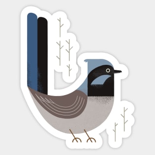 Superb Fairywren, Bird of Australia Sticker